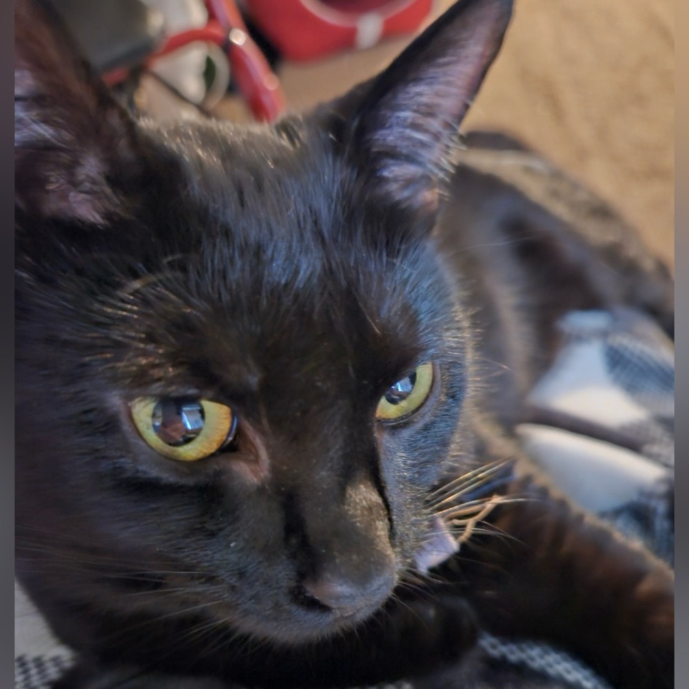 Casey’s Share Show 💜